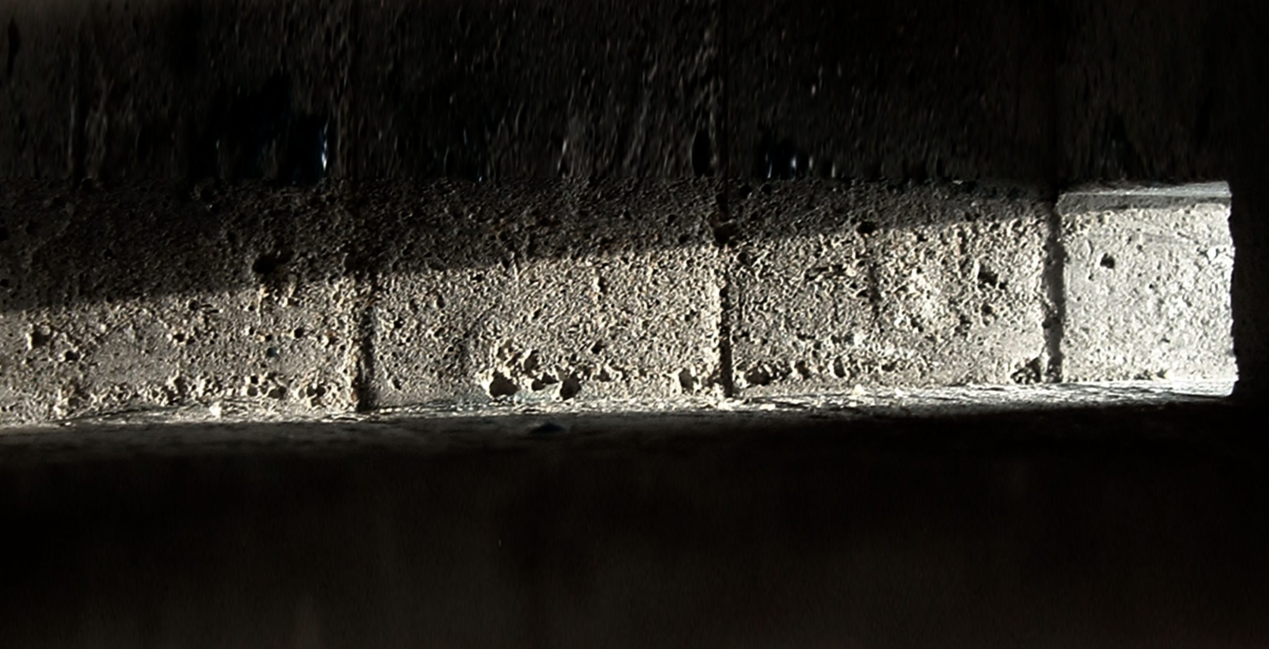 © Pedro Léger Pereira